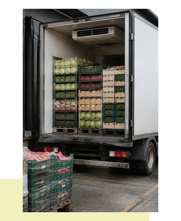 Перевозка плодоовощной продукции оптом напрямую в Химки