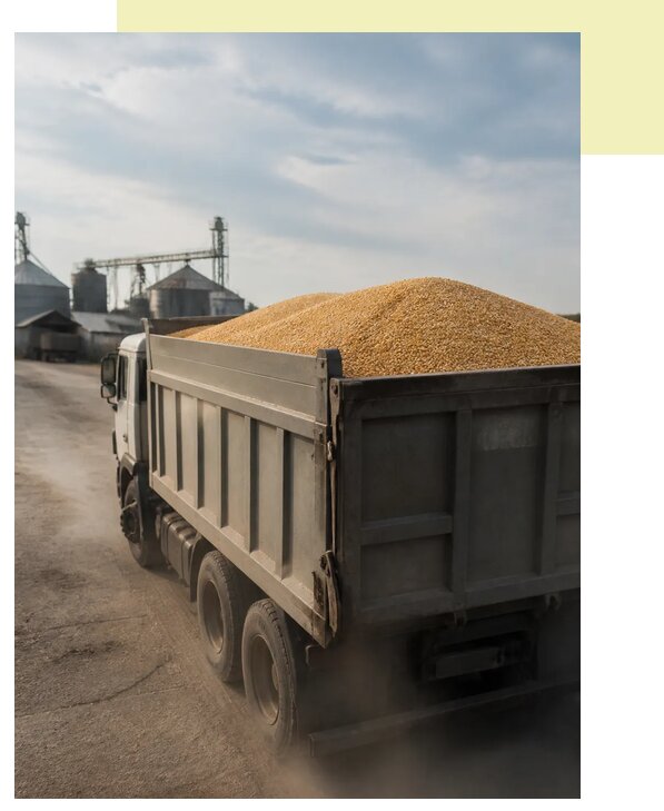 Перевозка сельхозпродукции навалом в Химки по цене от 3110 р. | Агросервис-Хмк