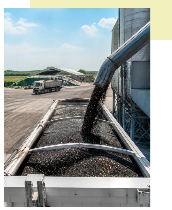 Перевозка подсолнечника в Химки по цене от 5546 р. | Агросервис-Хмк