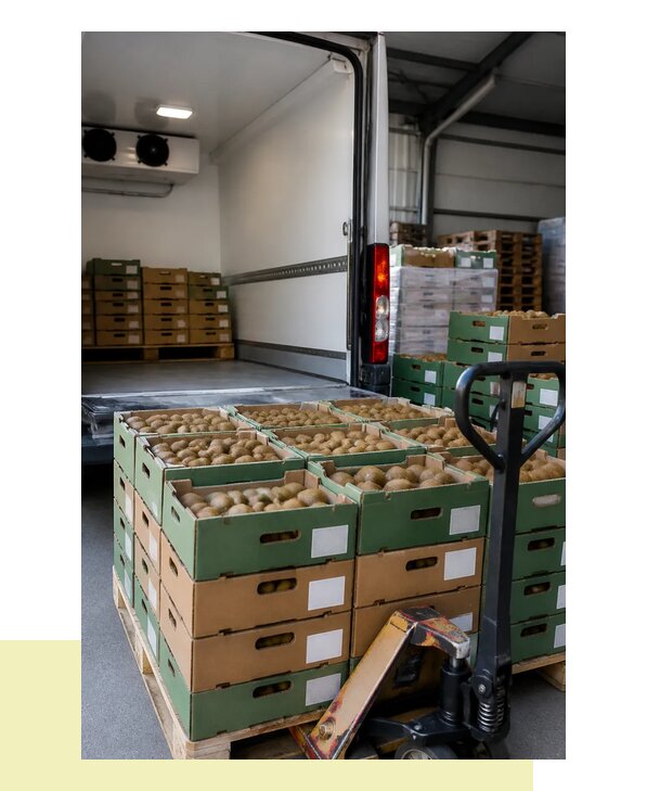 Перевозка киви в Химки с соблюдением температурного режима